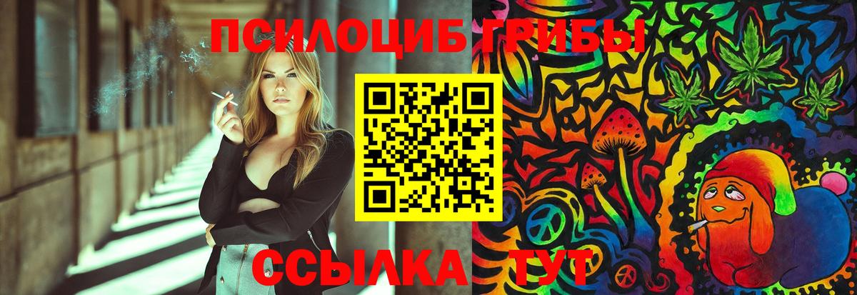 Тимашёвск  Галлюциногенные грибы мицелий  Вход с VPN 